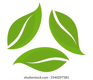 Green leaf icon in flat style, on white background. leaf icon set. nature icon, leaf vector illustration.