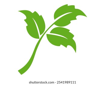 Ícone de folha verde em estilo plano, sobre fundo branco. ícone de folha definido. ícone natureza, ilustração de vetor folha.