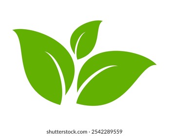 Green leaf icon in flat style, on white background. leaf icon set. nature icon, leaf vector illustration.