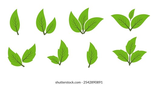Ícone de folha verde em estilo plano, sobre fundo branco. ícone de folha definido. ícone natureza, ilustração de vetor folha.