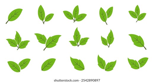 Icono de hoja verde en estilo plano, sobre fondo blanco. conjunto de iconos de hoja. icono de la naturaleza, Ilustración vectorial de la hoja.