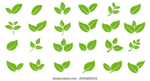 Green leaf icon in flat style, on white background. leaf icon set. nature icon, leaf vector illustration.