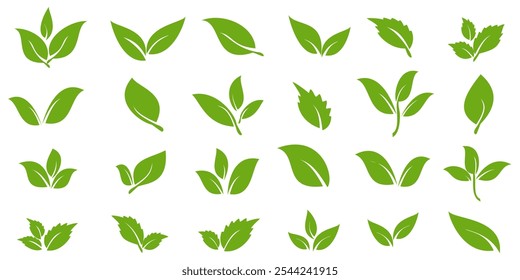 Green leaf icon in flat style, on white background. leaf icon set. nature icon, leaf vector illustration.