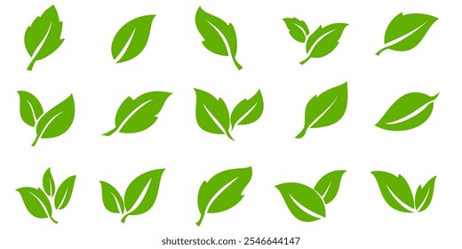 Green leaf icon in flat style, on white background. leaf icon set. nature icon, leaf vector illustration.