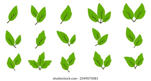 Green leaf icon in flat style, on white background. leaf icon set. nature icon, leaf vector illustration.