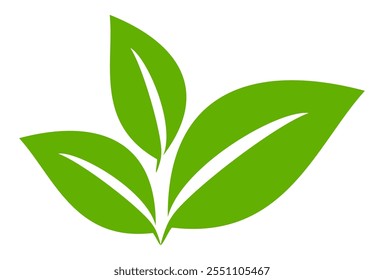 Green leaf icon in flat style, on white background. leaf icon set. nature icon, leaf vector illustration.