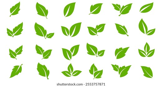 Green leaf icon in flat style, on white background. leaf icon set. nature icon, leaf vector illustration.