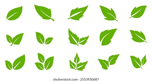 Green leaf icon in flat style, on white background. leaf icon set. nature icon, leaf vector illustration.