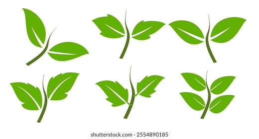 Green leaf icon in flat style, on white background. leaf icon set. nature icon, leaf vector illustration.