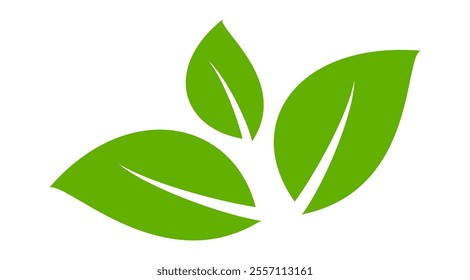 Green leaf icon in flat style, on white background. leaf icon set. nature icon, leaf vector illustration.