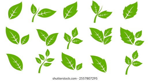 Green leaf icon in flat style, on white background. leaf icon set. nature icon, leaf vector illustration.