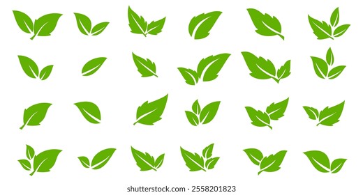 Green leaf icon in flat style, on white background. leaf icon set. nature icon, leaf vector illustration.