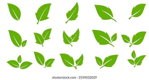 Green leaf icon in flat style, on white background. leaf icon set. nature icon, leaf vector illustration.