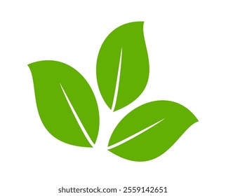 Green leaf icon in flat style, on white background. leaf icon set. nature icon, leaf vector illustration.