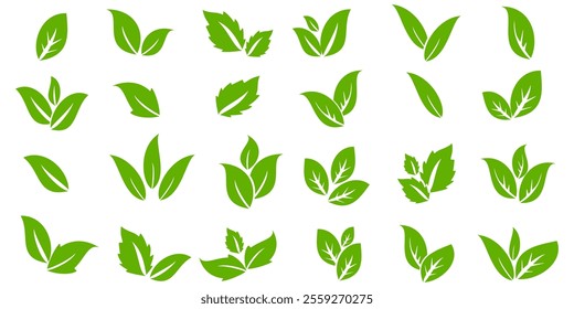 Green leaf icon in flat style, on white background. leaf icon set. nature icon, leaf vector illustration.