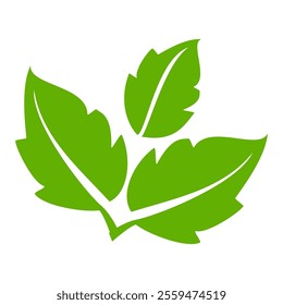 Green leaf icon in flat style, on white background. leaf icon set. nature icon, leaf vector illustration.