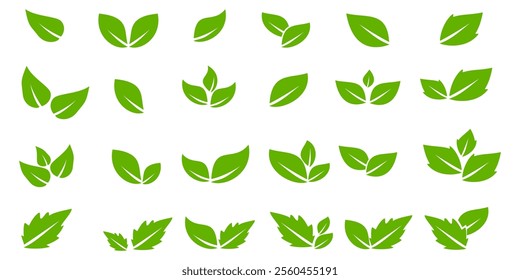 Green leaf icon in flat style, on white background. leaf icon set. nature icon, leaf vector illustration.