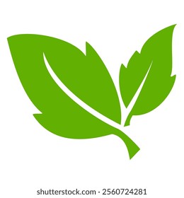 Green leaf icon in flat style, on white background. leaf icon set. nature icon, leaf vector illustration.