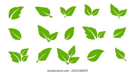 Green leaf icon in flat style, on white background. leaf icon set. nature icon, leaf vector illustration.