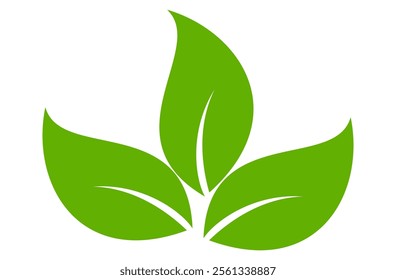 Green leaf icon in flat style, on white background. leaf icon set. nature icon, leaf vector illustration.