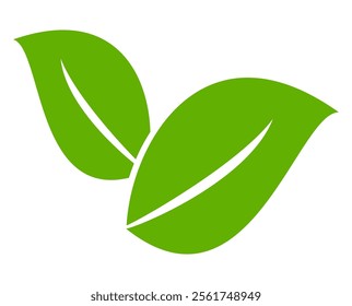 Green leaf icon in flat style, on white background. leaf icon set. nature icon, leaf vector illustration.