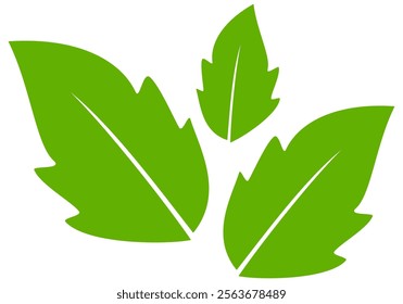 Green leaf icon in flat style, on white background. leaf icon set. nature icon, leaf vector illustration.