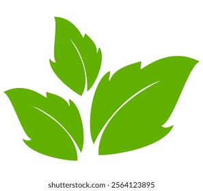 Green leaf icon in flat style, on white background. leaf icon set. nature icon, leaf vector illustration.