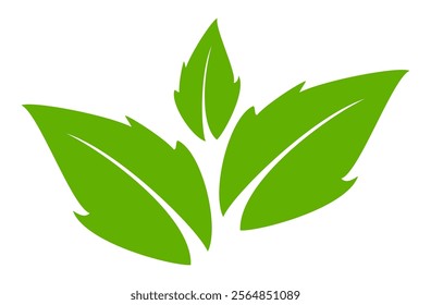 Green leaf icon in flat style, on white background. leaf icon set. nature icon, leaf vector illustration.