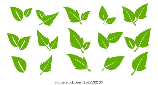 Green leaf icon in flat style, on white background. leaf icon set. nature icon, leaf vector illustration.