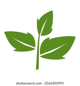 Green leaf icon in flat style, on white background. leaf icon set. nature icon, leaf vector illustration.