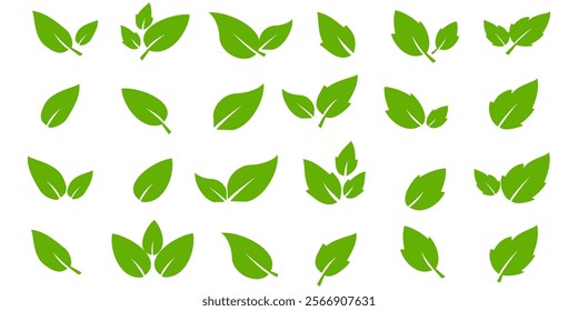 Green leaf icon in flat style, on white background. leaf icon set. nature icon, leaf vector illustration.