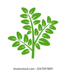 Green leaf icon in flat style, on white background. leaf icon set. nature icon, leaf vector illustration.