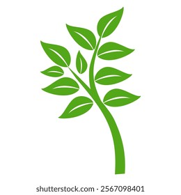 Green leaf icon in flat style, on white background. leaf icon set. nature icon, leaf vector illustration.