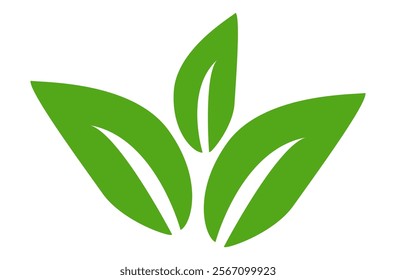 Green leaf icon in flat style, on white background. leaf icon set. nature icon, leaf vector illustration.