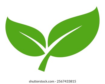 Green leaf icon in flat style, on white background. leaf icon set. nature icon, leaf vector illustration.