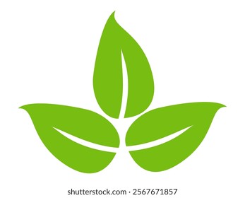 Green leaf icon in flat style, on white background. leaf icon set. nature icon, leaf vector illustration.