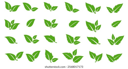 Green leaf icon in flat style, on white background. leaf icon set. nature icon, leaf vector illustration.