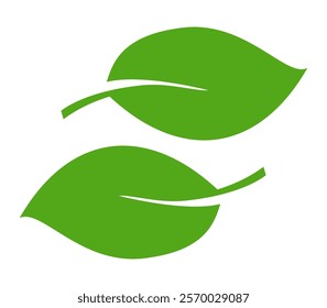 Green leaf icon in flat style, on white background. leaf icon set. nature icon, leaf vector illustration.