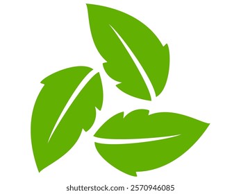 Green leaf icon in flat style, on white background. leaf icon set. nature icon, leaf vector illustration.