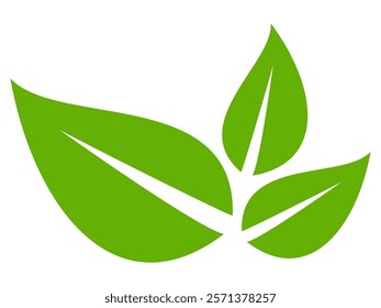 Green leaf icon in flat style, on white background. leaf icon set. nature icon, leaf vector illustration.