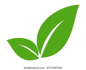 Green leaf icon in flat style, on white background. leaf icon set. nature icon, leaf vector illustration.