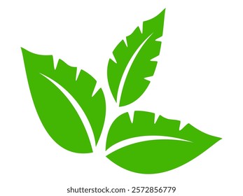 Green leaf icon in flat style, on white background. leaf icon set. nature icon, leaf vector illustration.