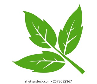Green leaf icon in flat style, on white background. leaf icon set. nature icon, leaf vector illustration.