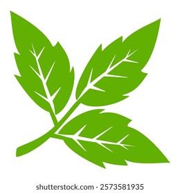 Green leaf icon in flat style, on white background. leaf icon set. nature icon, leaf vector illustration.