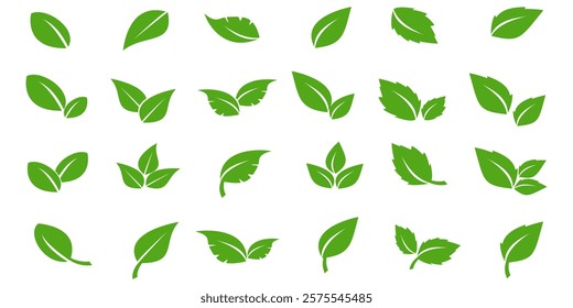 Green leaf icon in flat style, on white background. leaf icon set. nature icon, leaf vector illustration.