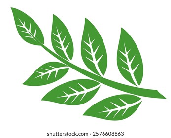 Green leaf icon in flat style, on white background. leaf icon set. nature icon, leaf vector illustration.