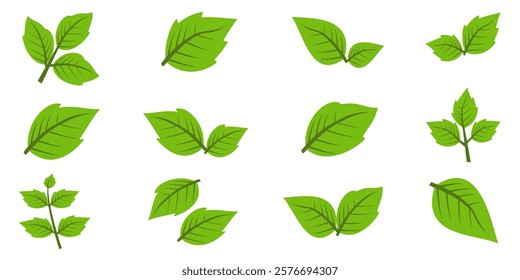 Green leaf icon in flat style, on white background. leaf icon set. nature icon, leaf vector illustration.