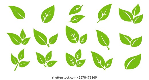 Green leaf icon in flat style, on white background. leaf icon set. nature icon, leaf vector illustration.