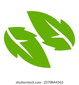 Green leaf icon in flat style, on white background. leaf icon set. nature icon, leaf vector illustration.