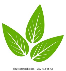 Green leaf icon in flat style, on white background. leaf icon set. nature icon, leaf vector illustration.